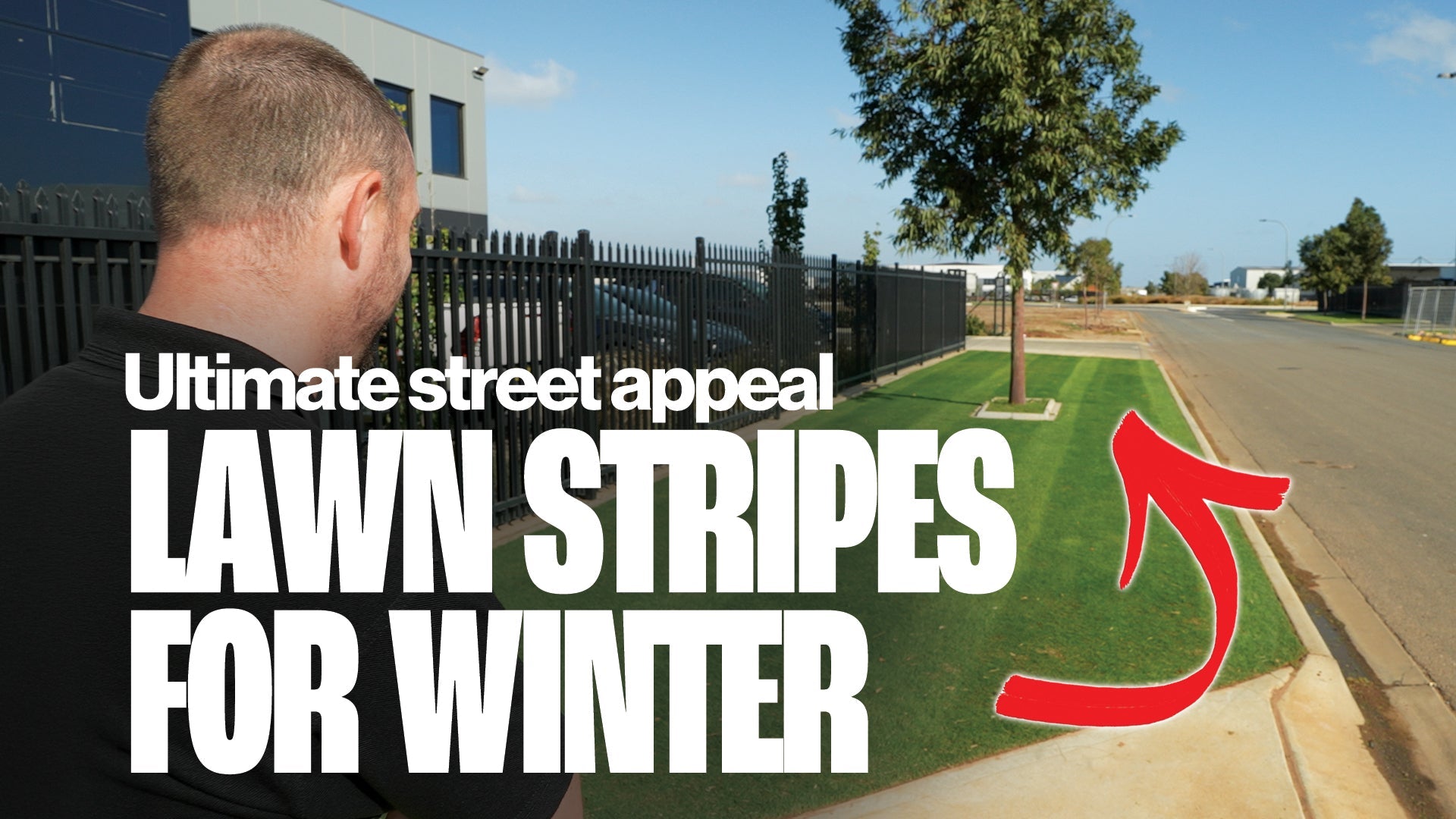 How to get Lawn Stripes in Winter | Week 4 ryegrass overseed
