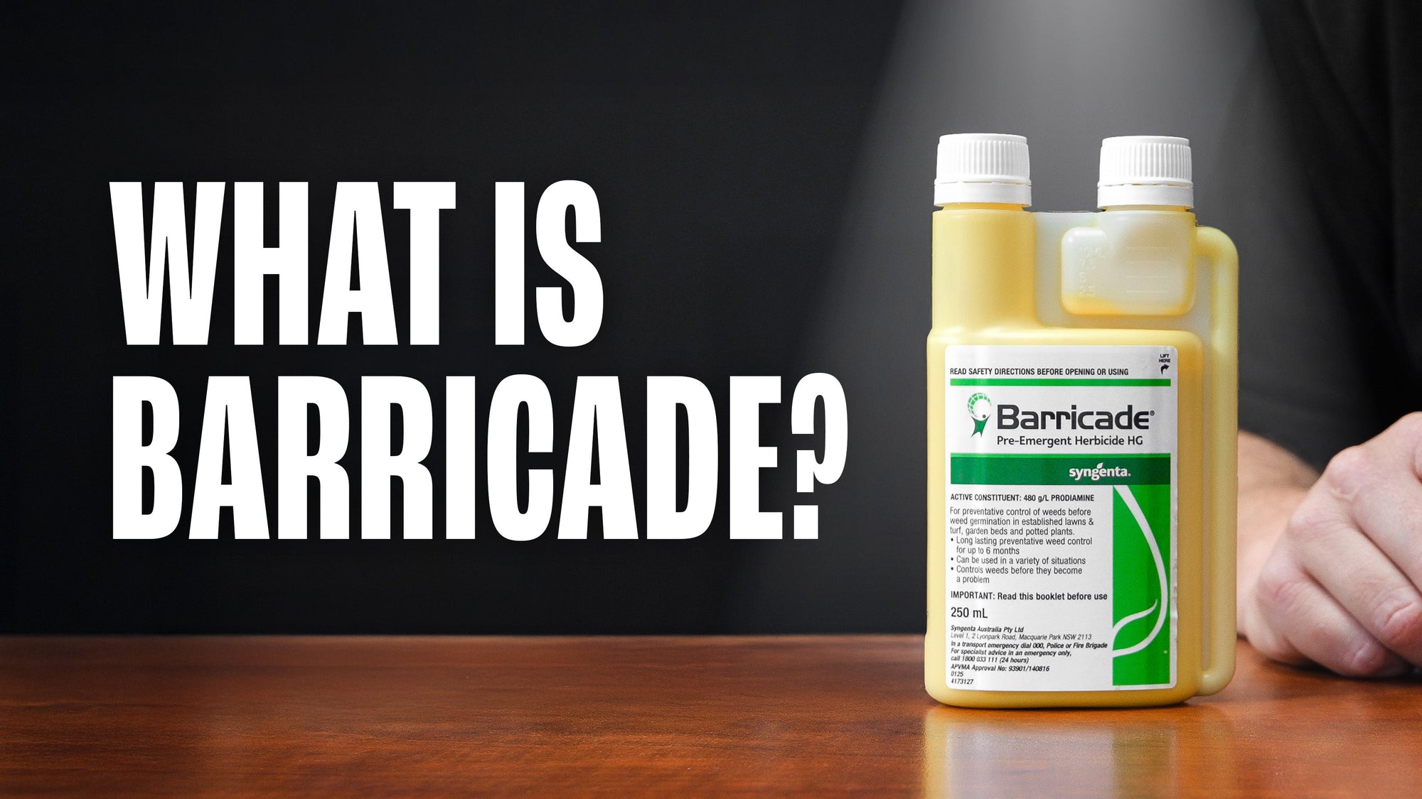 Everything to know about Barricade HG