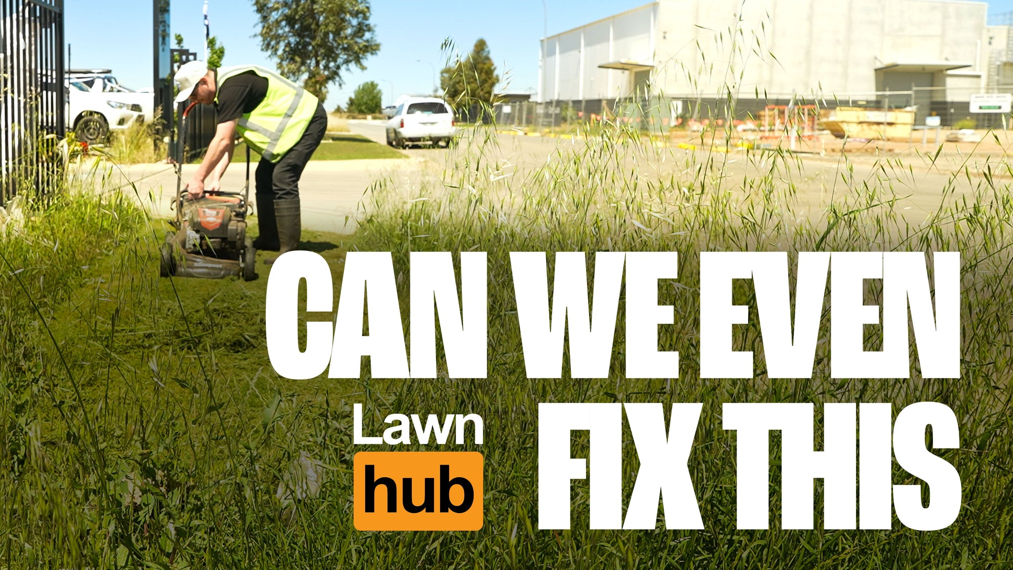 Can we fix this lawn?