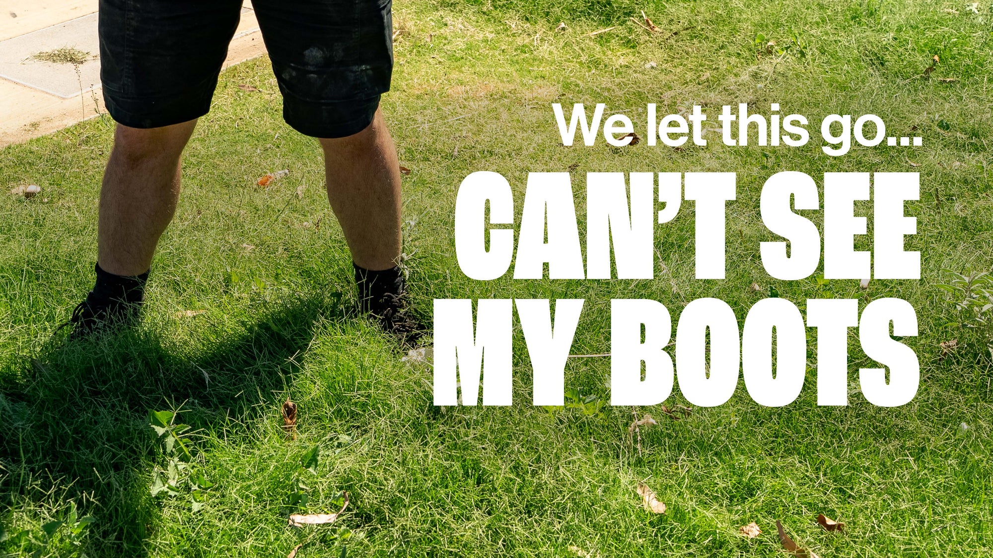 Can we FIX our overgrown lawn