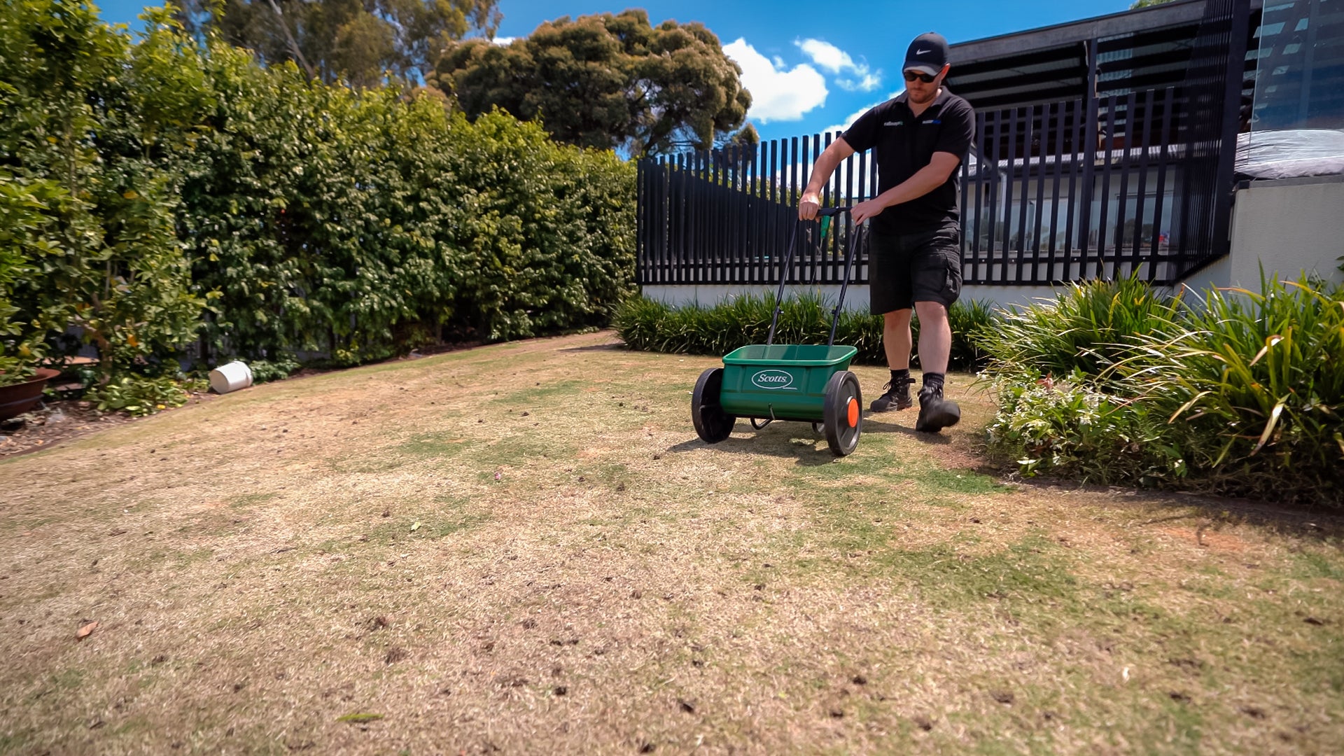 When To Fertilise Lawn in Australia