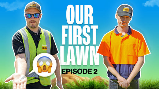 Our First Lawn | EP2 - The Dead Patch