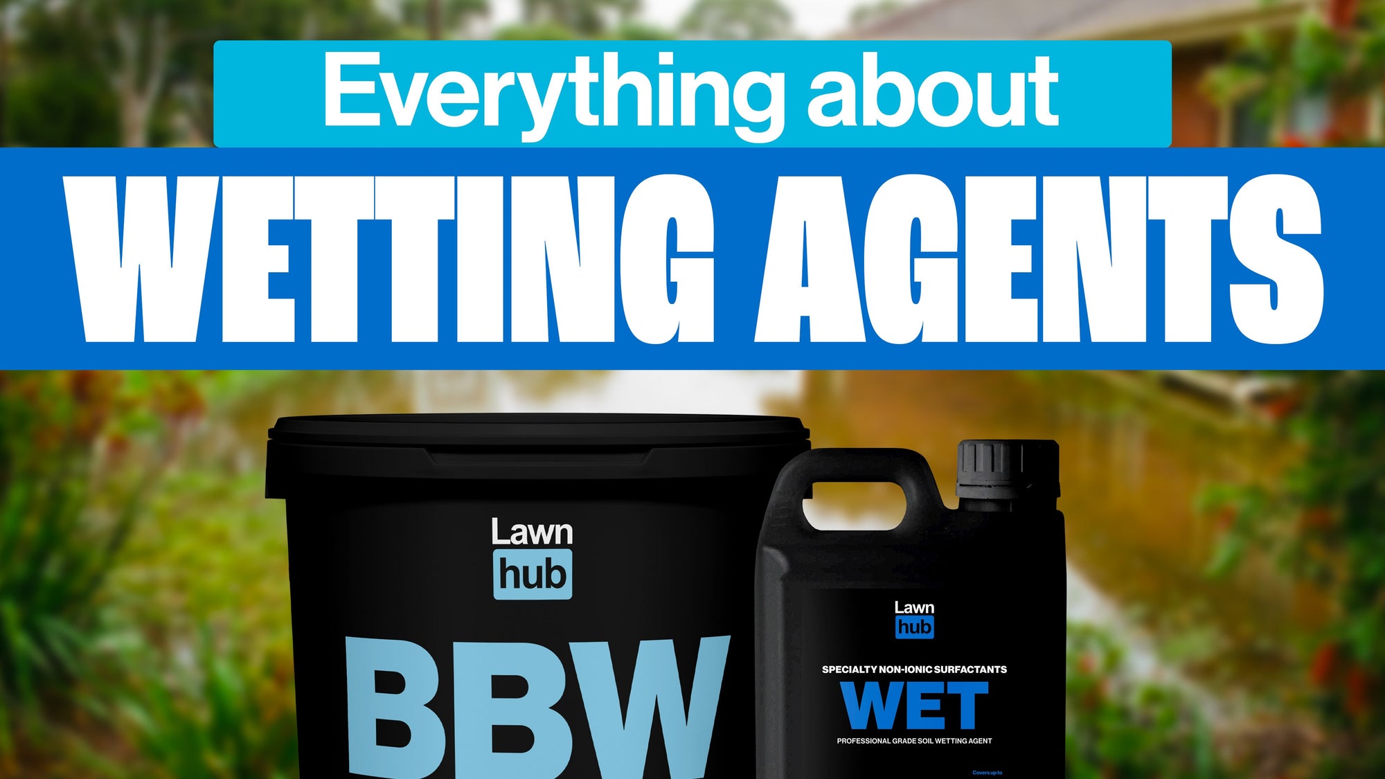 What is a Wetting Agent?